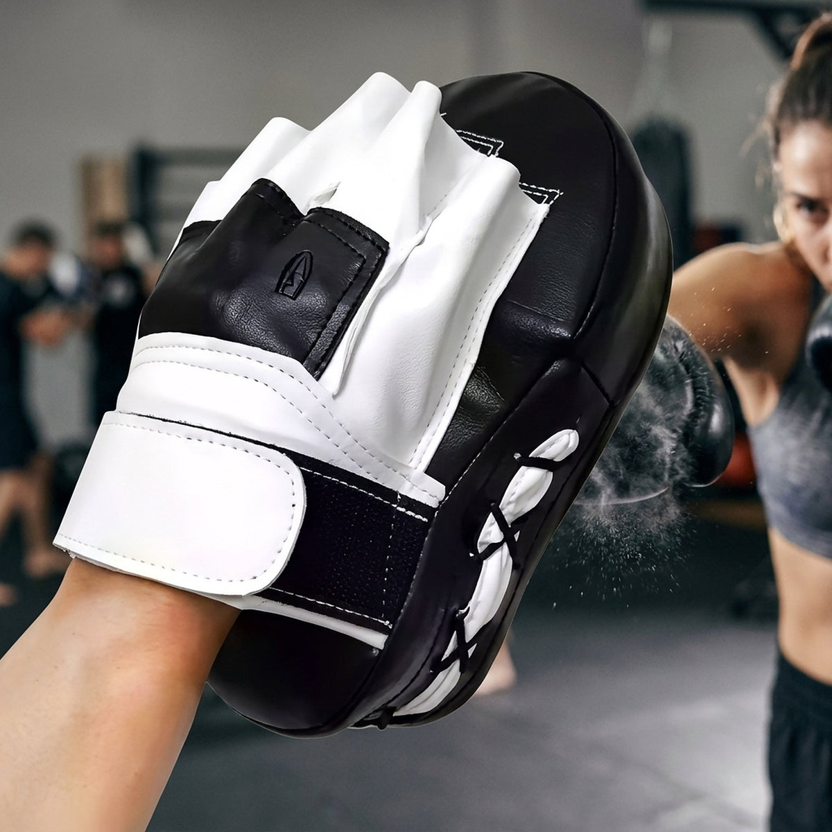 Patte d'ours de boxe