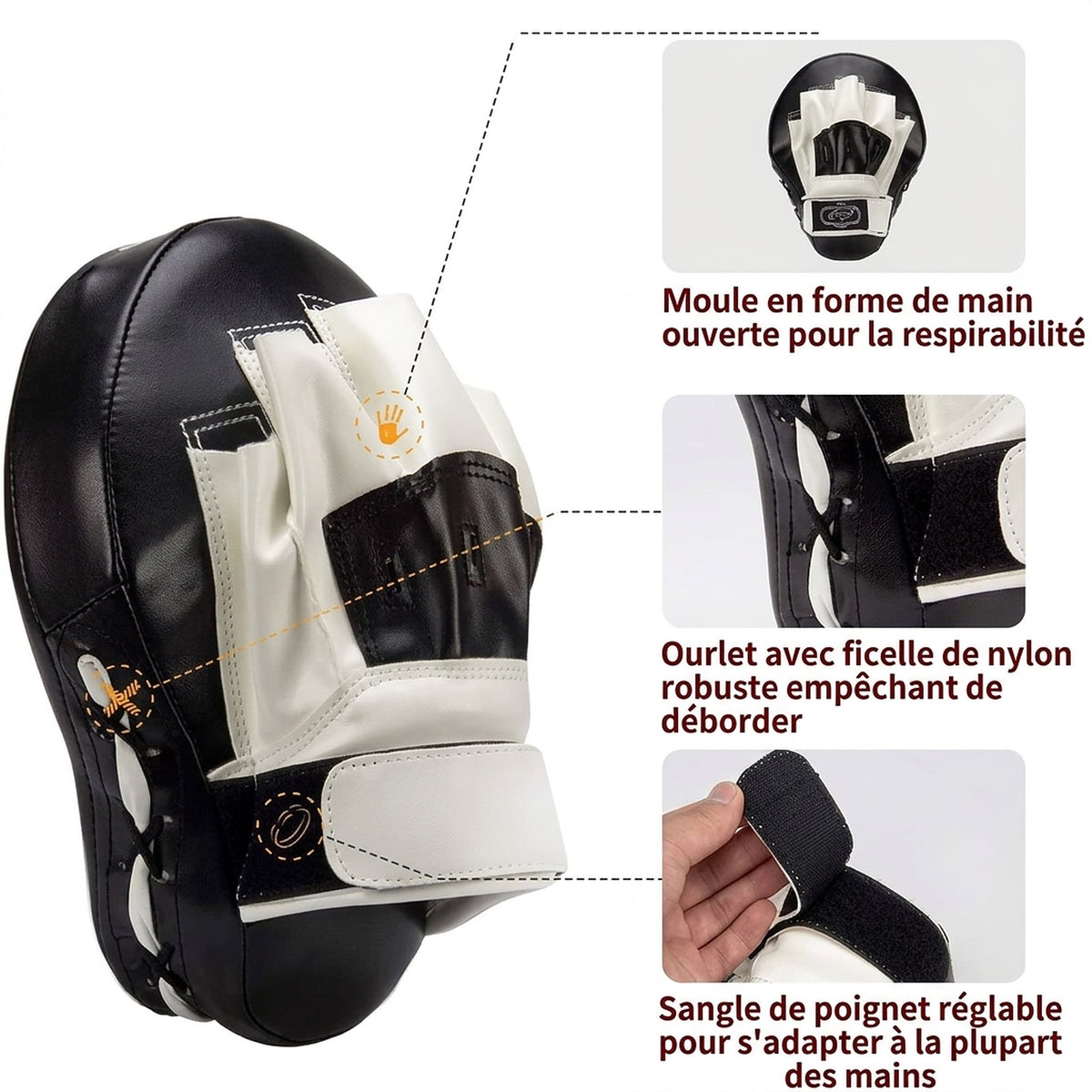 Patte d'ours de boxe