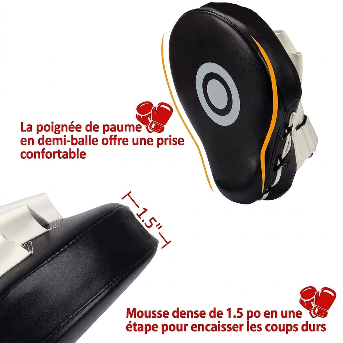 Patte d'ours de boxe